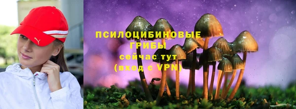 молекула духа Алексин