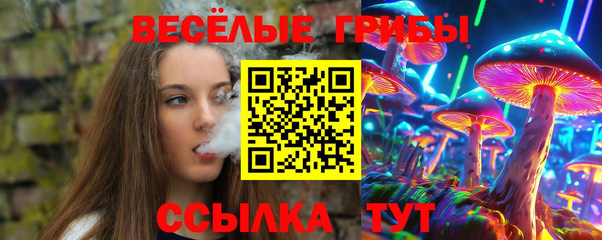Псилоцибиновые грибы мицелий Новошахтинск
