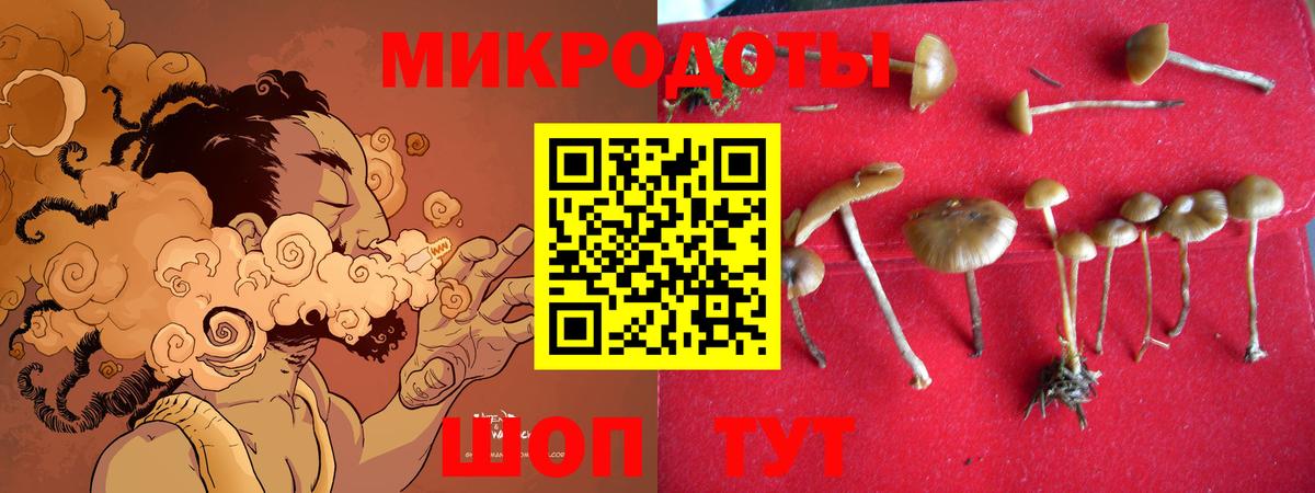 Новошахтинск  Псилоцибиновые грибы Psilocybe  Вход с VPN 
