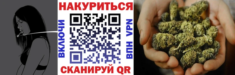 закладка  Новошахтинск  Марихуана планчик 